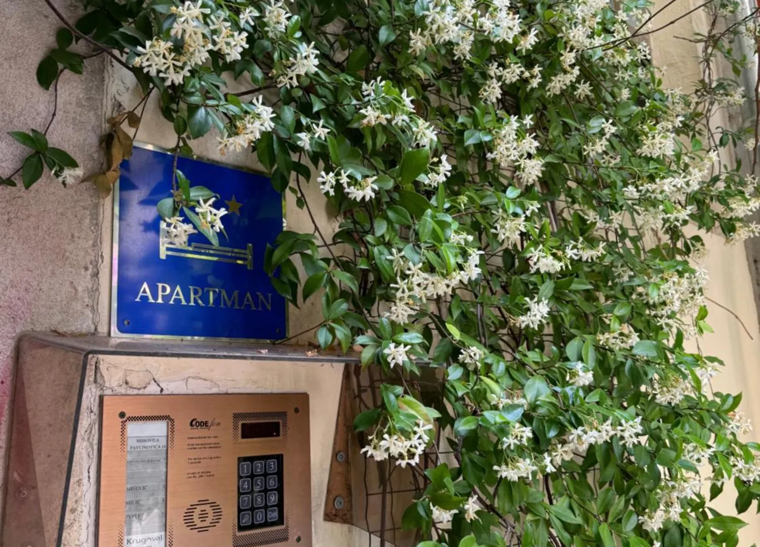 Appartamento Pebble Apartman Zara Croazia